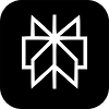 Perplexity logo